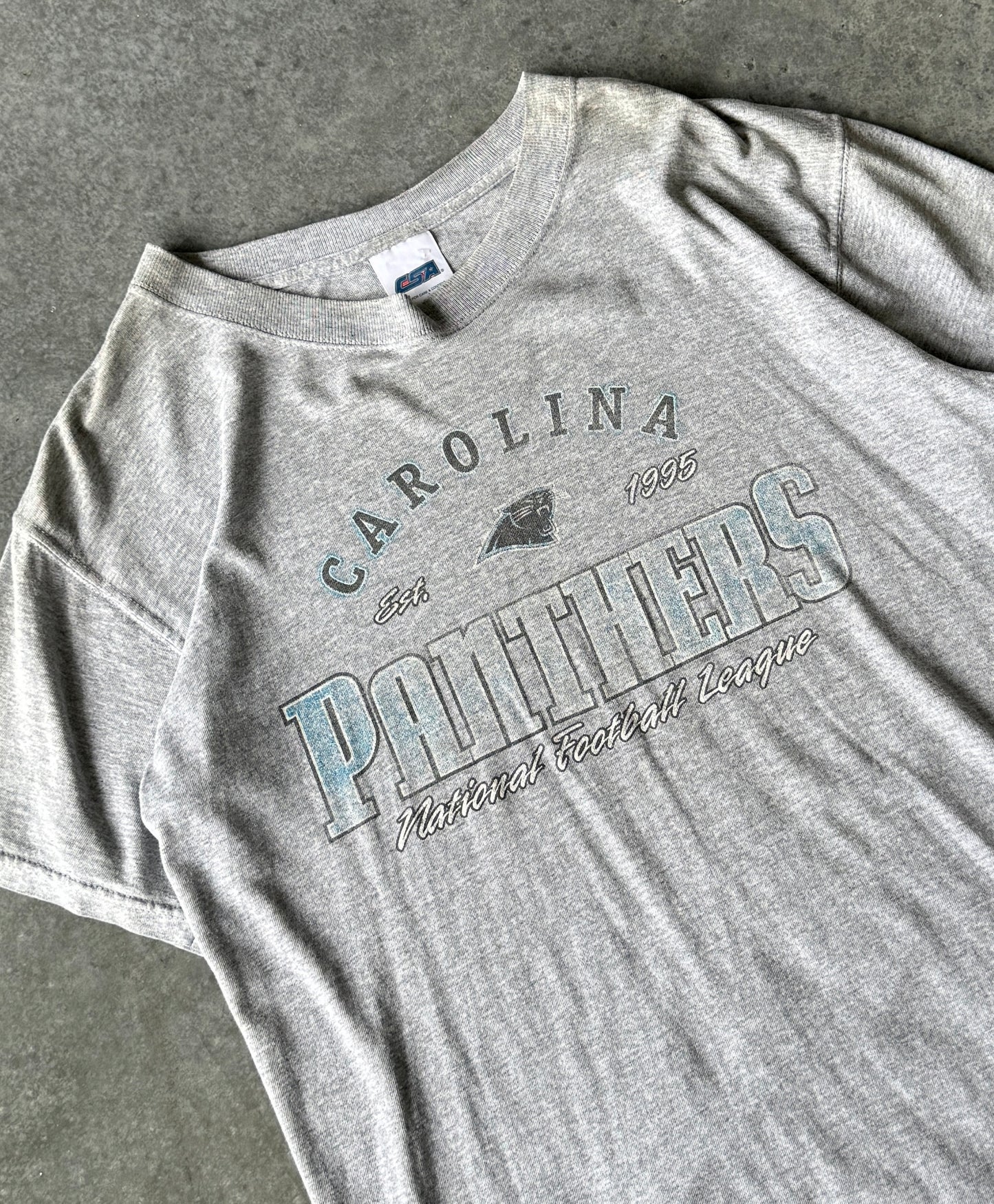 Vintage 00s Carolina Panthers NFL Tee (M)