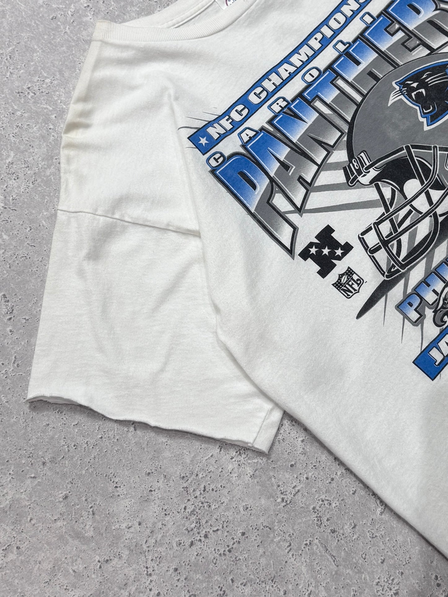 Vintage 2004 Carolina Panthers NFL Tee (XL)