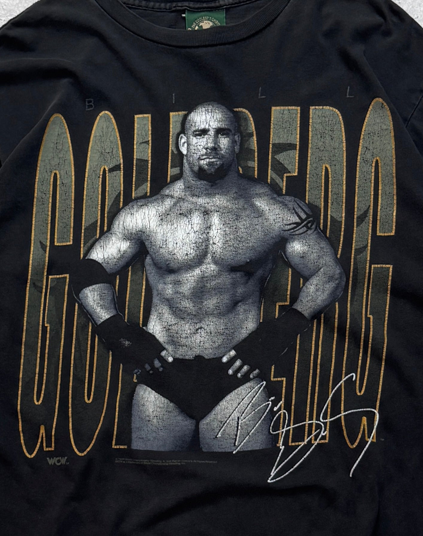 Vintage 90s Goldberg WWF Tee (L)