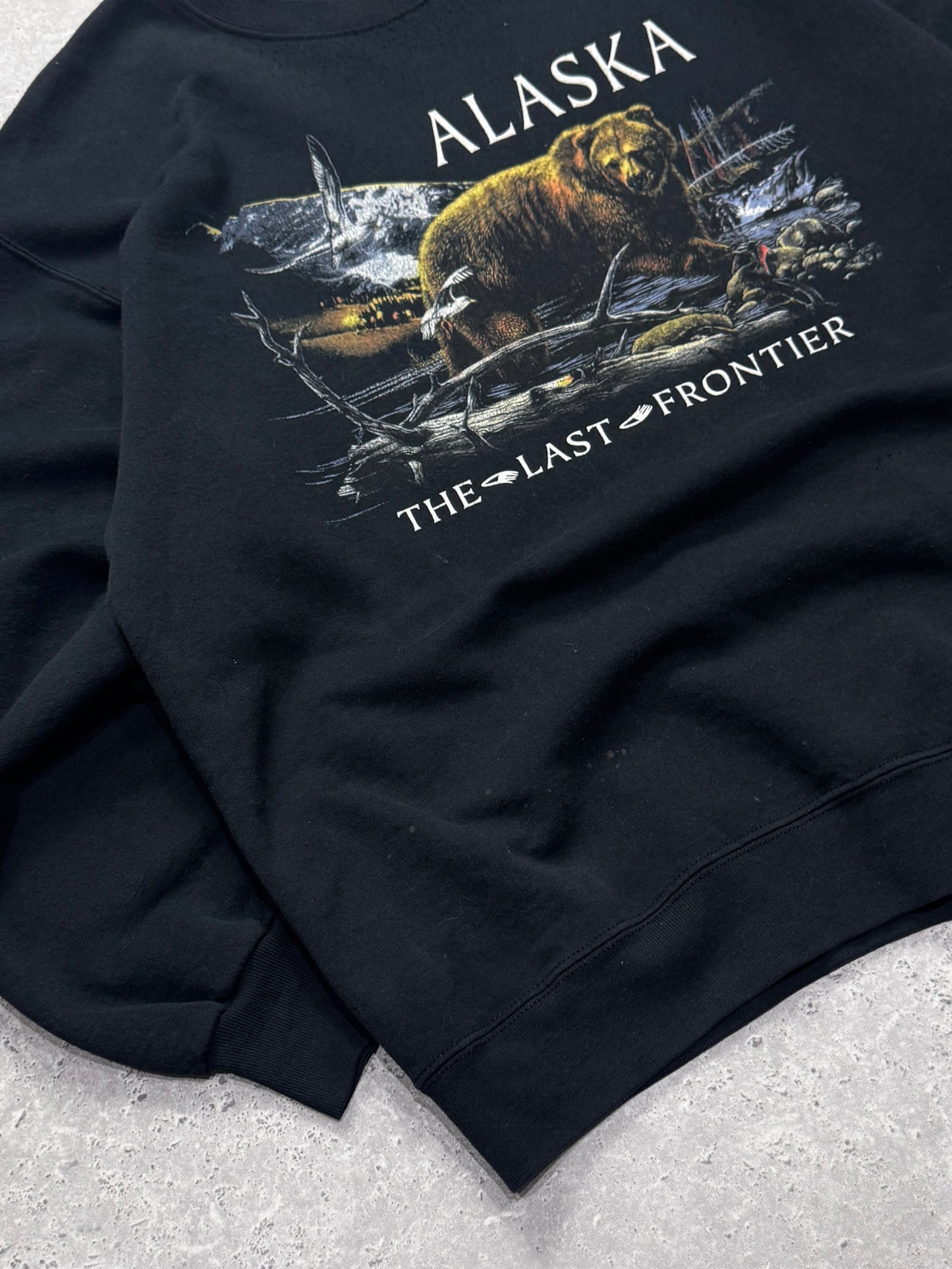 Vintage 90s Alaska Nature Sweater (L)