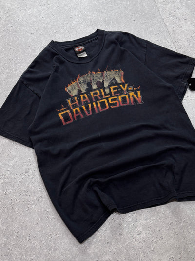 Vintage 2000s Harley Davidson Motorcycle Tee (L)