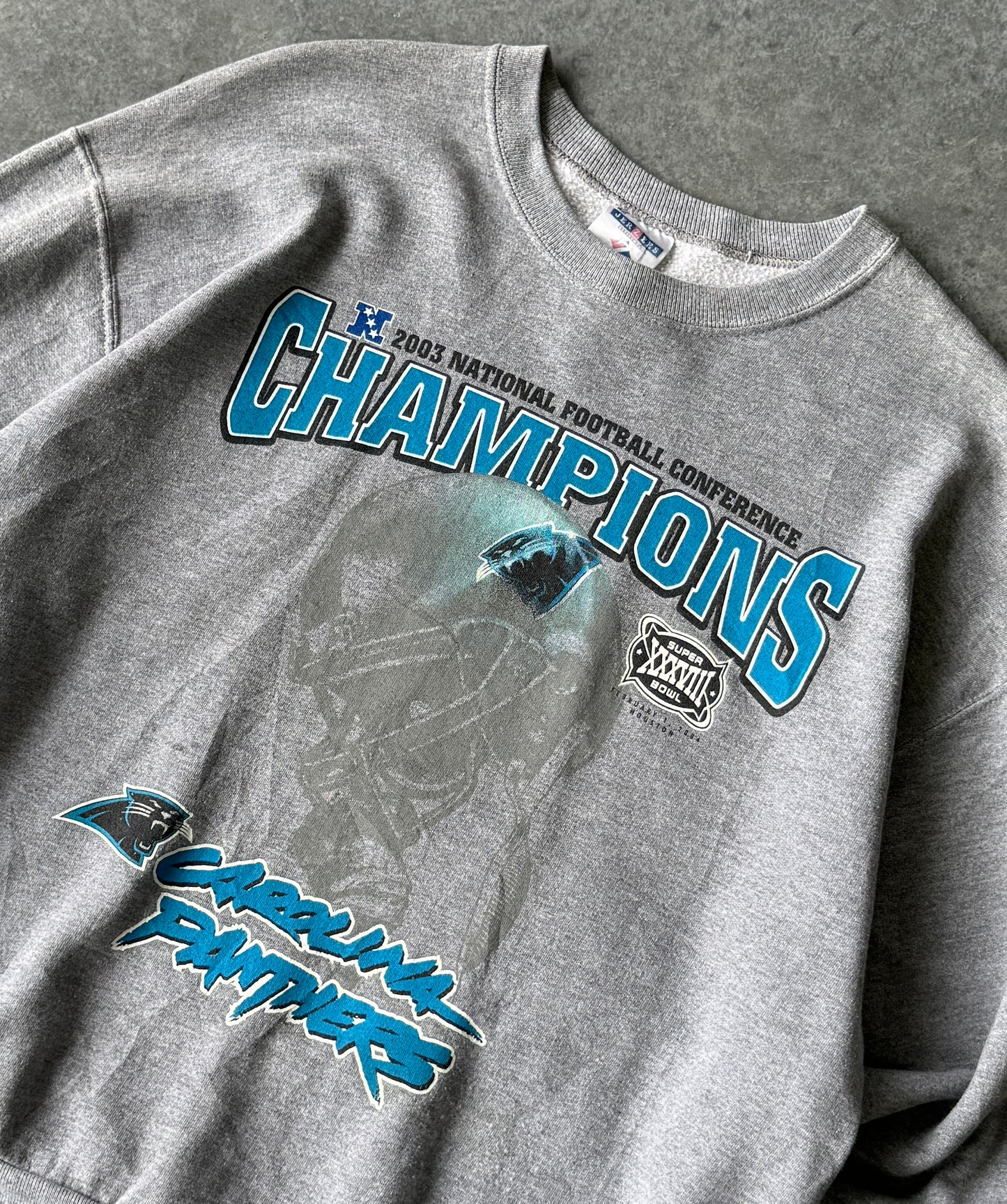 Vintage 00s Carolina Panthers Championship Sweater (L)