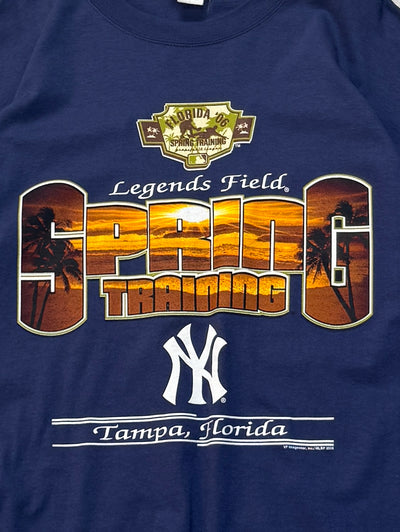 Vintage 2000s New York Yankees Spring Training Tee (2XL)