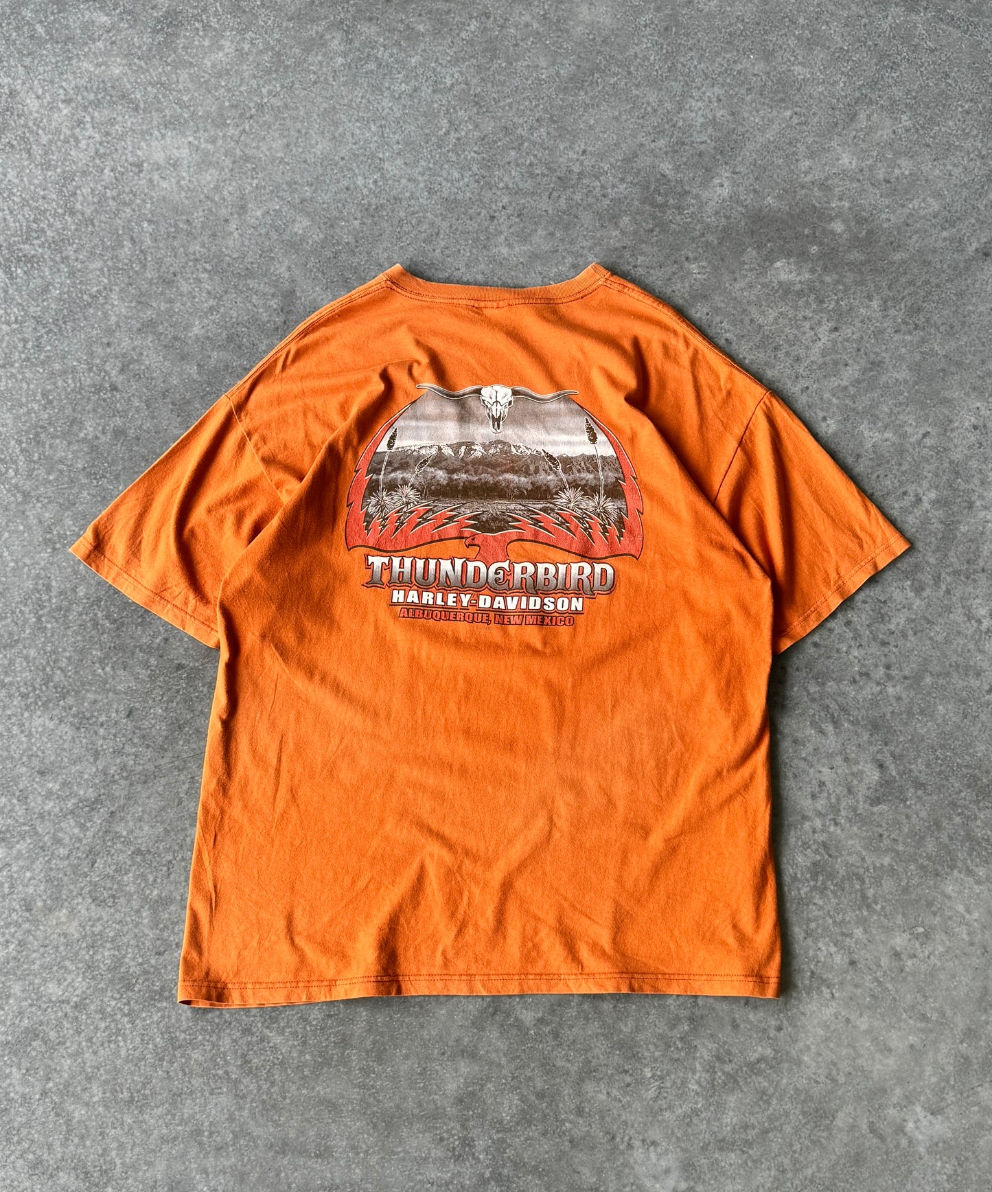 Vintage 00s Harley Davidson Tee (XL)