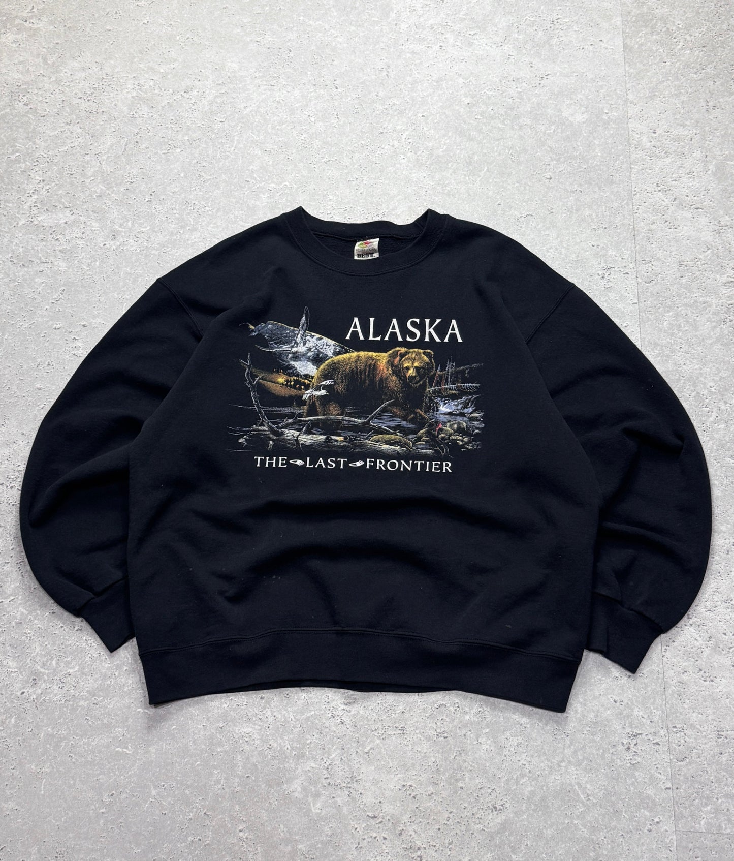 Vintage 90s Alaska Nature Sweater (L)
