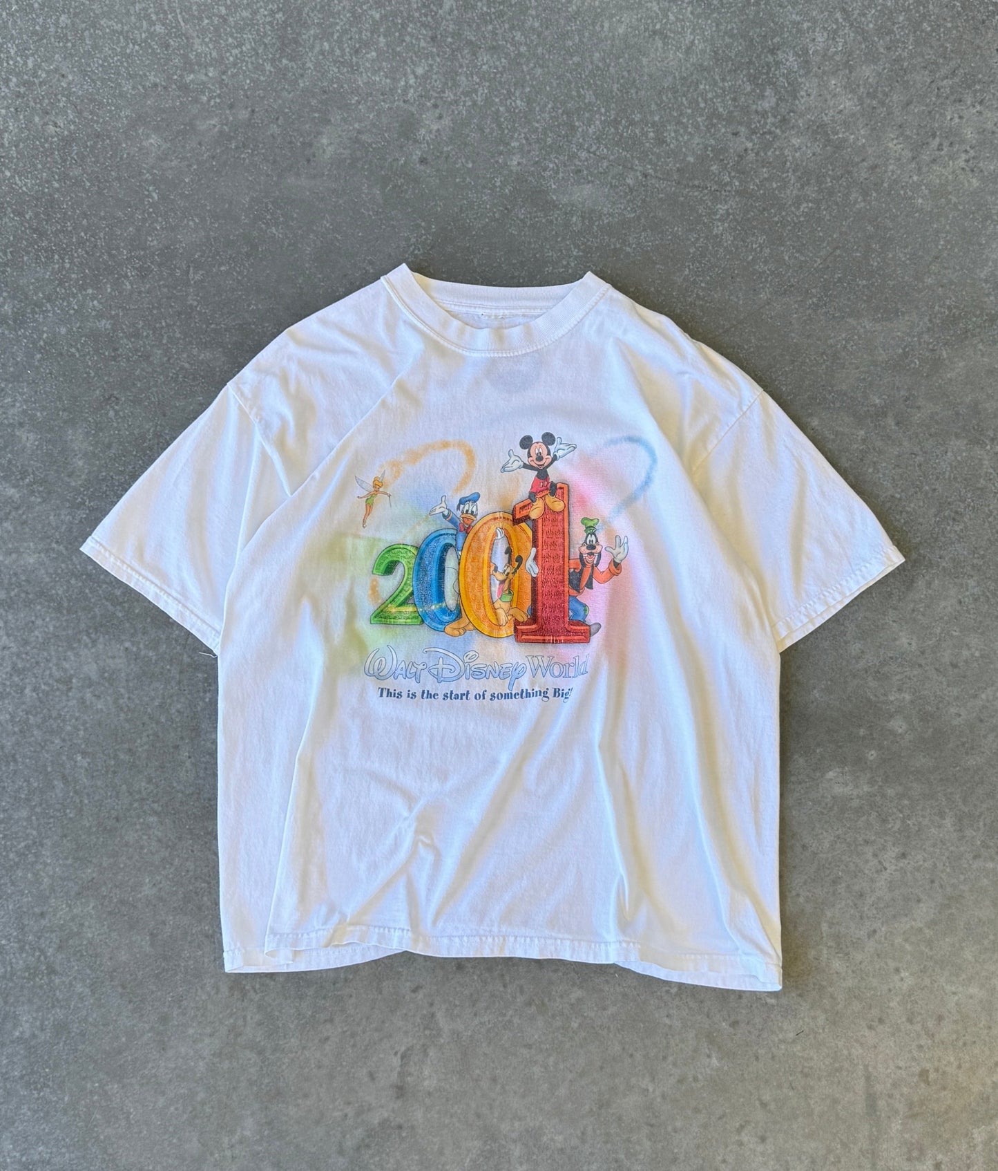 Vintage 01' Walt Disney World Tee (XL)