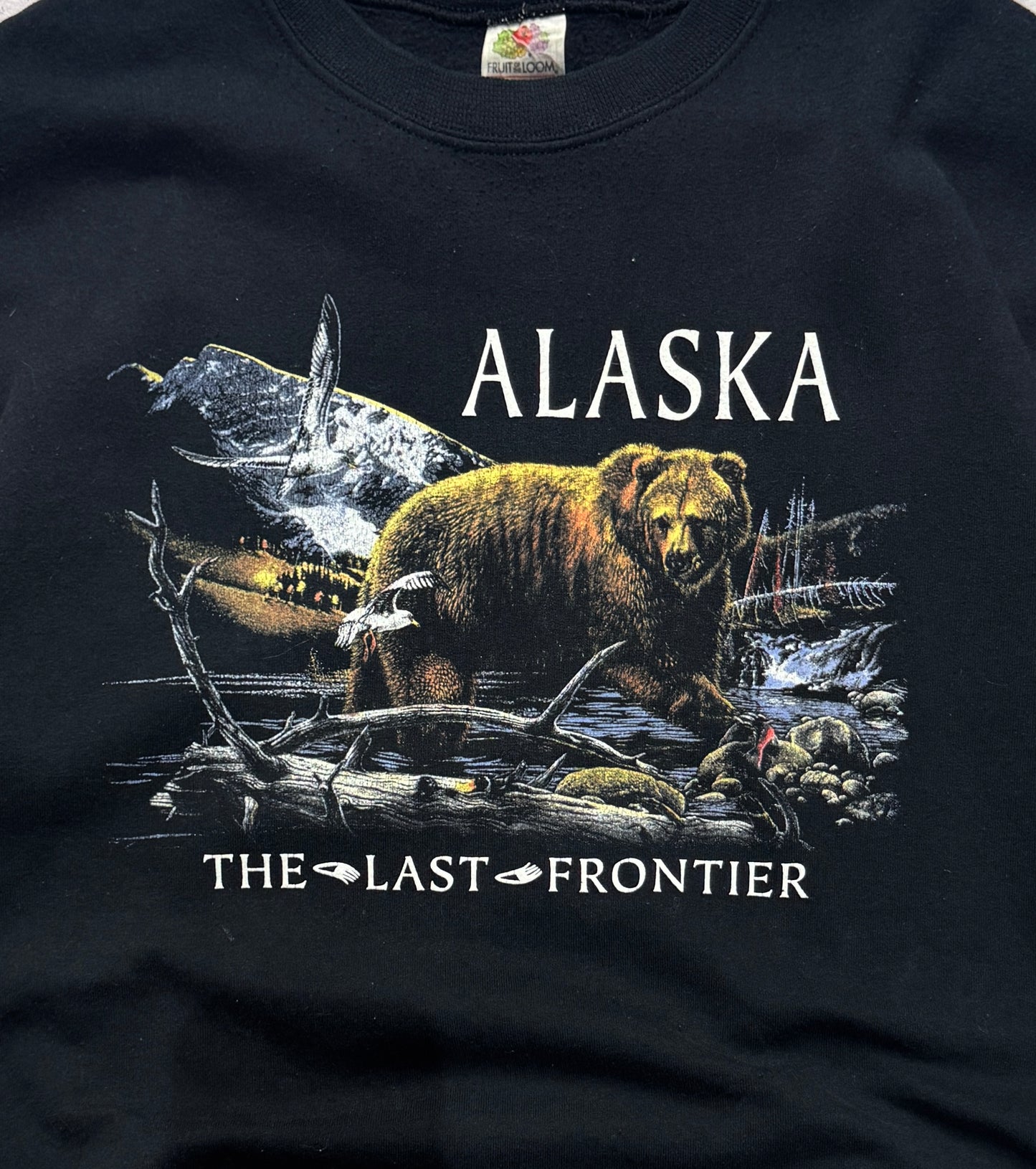 Vintage 90s Alaska Nature Sweater (L)