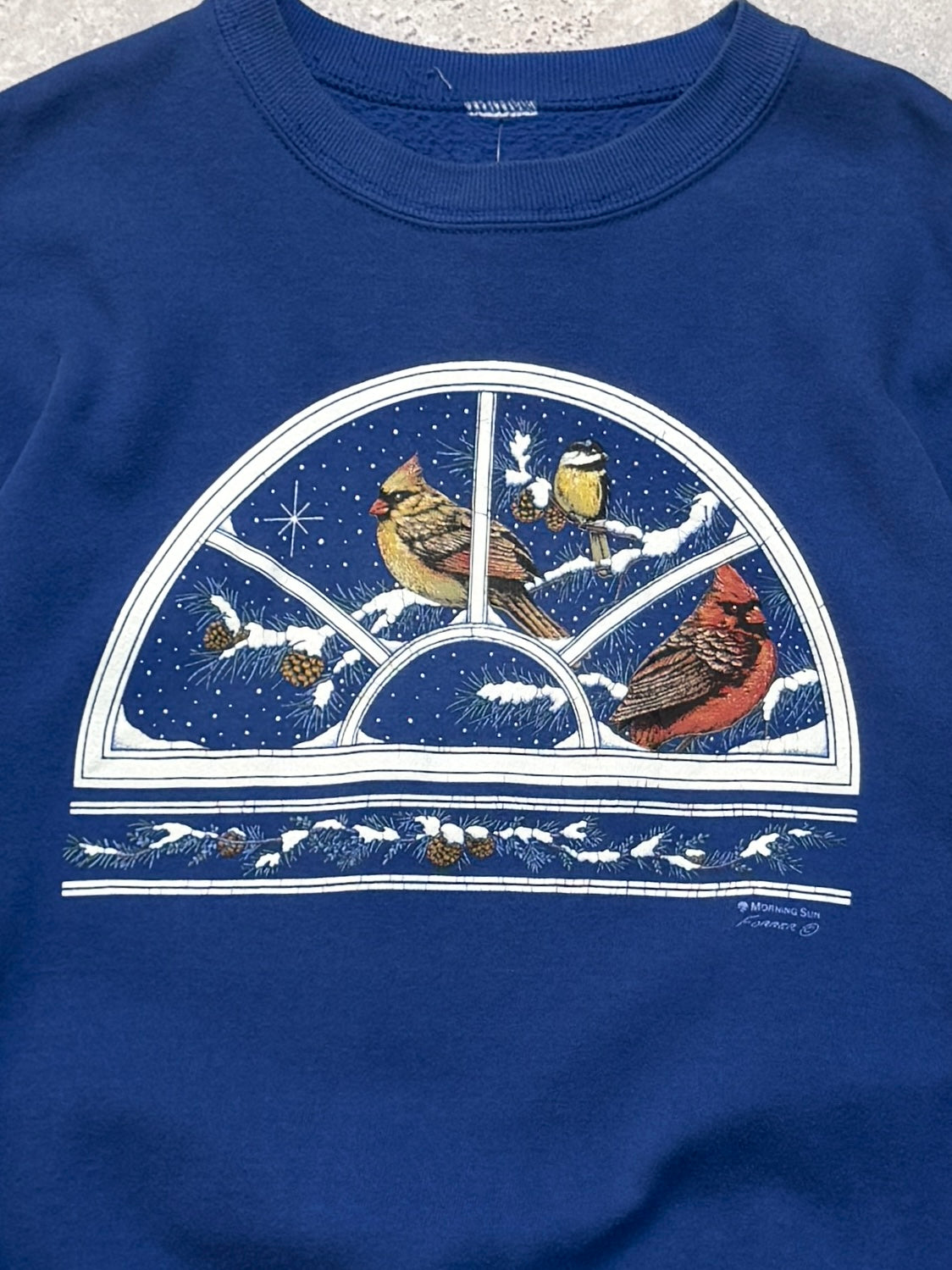Vintage 90s Birds Graphic Nature Sweater (L)