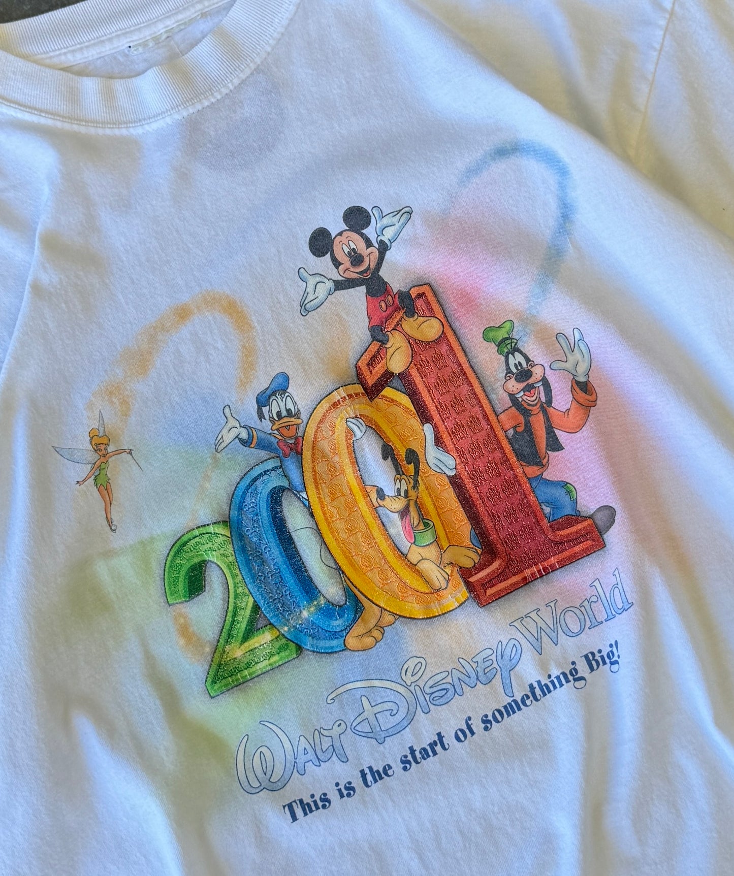 Vintage 01' Walt Disney World Tee (XL)