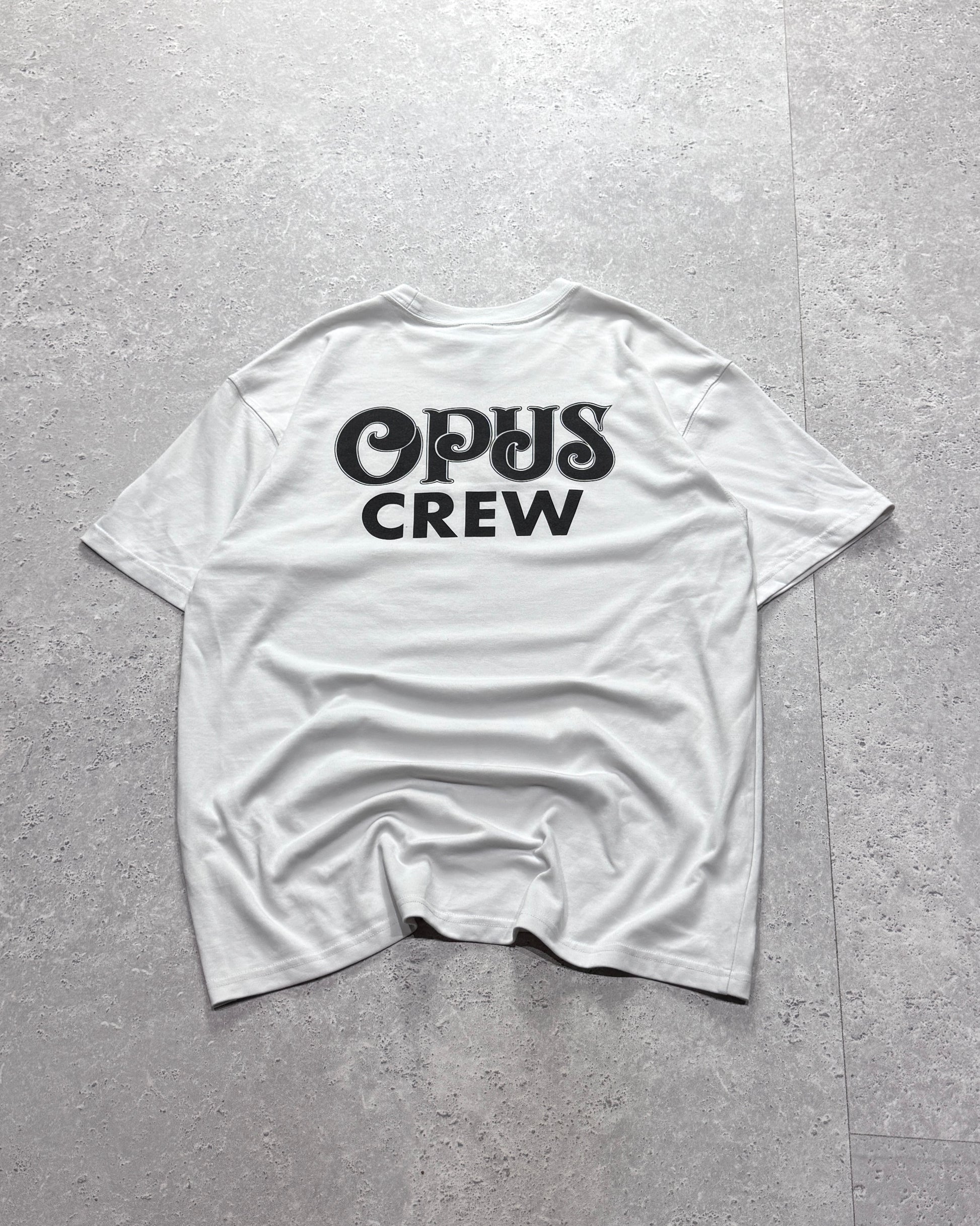 Nike ACG Embroidered Tee (L)