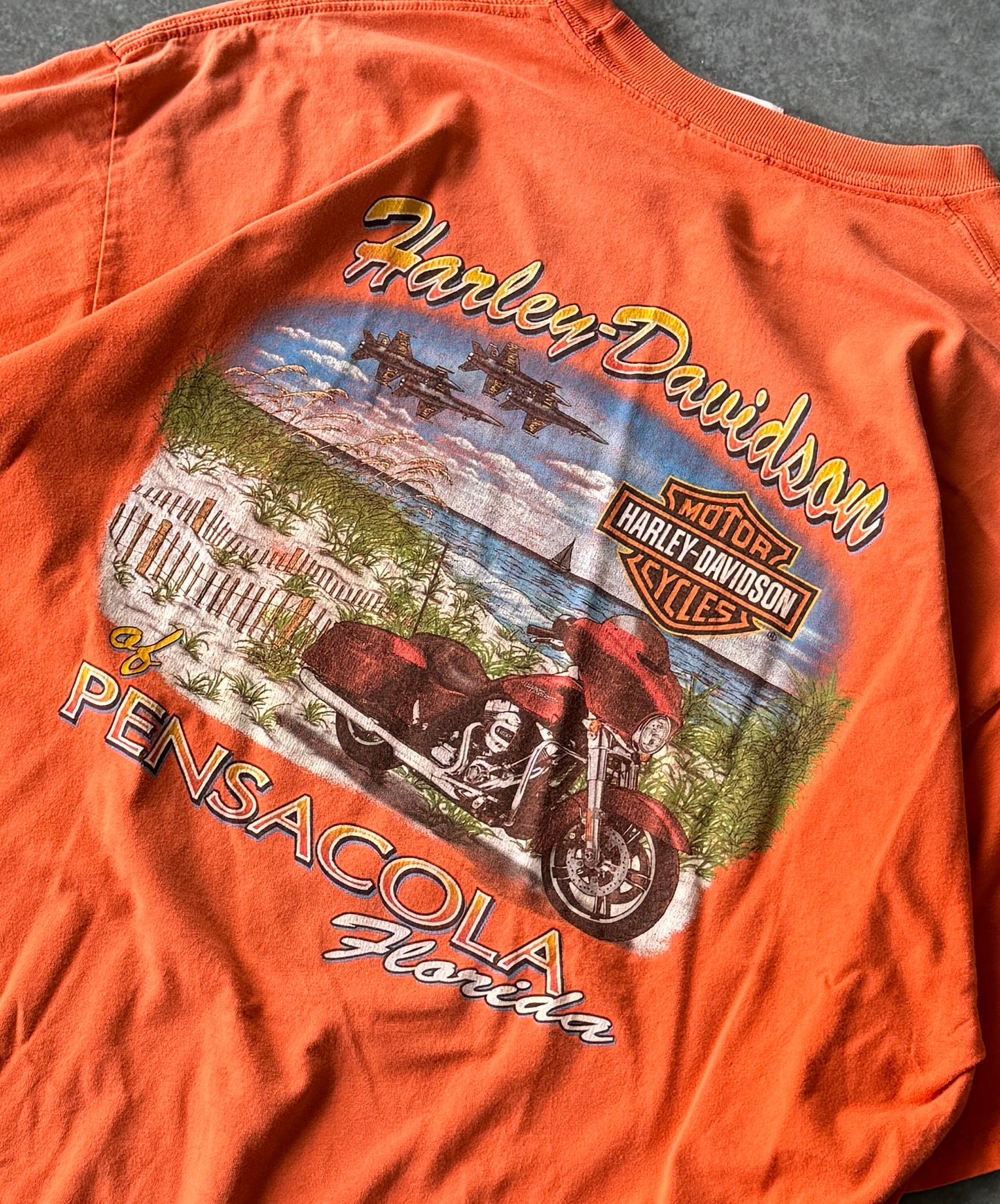 Vintage Harley Davidson Pensacola Tee (XL)