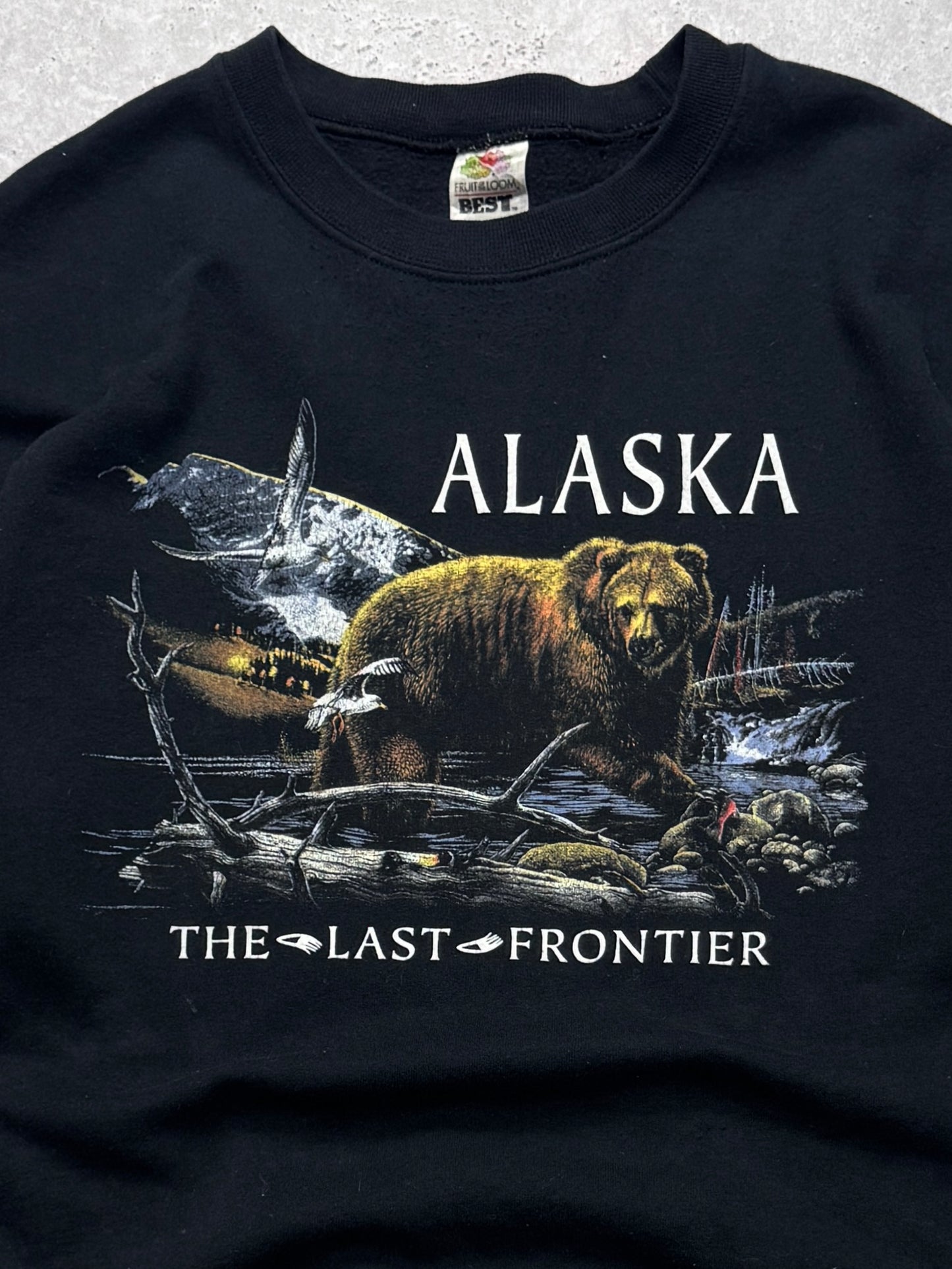 Vintage 90s Alaska Nature Sweater (L)