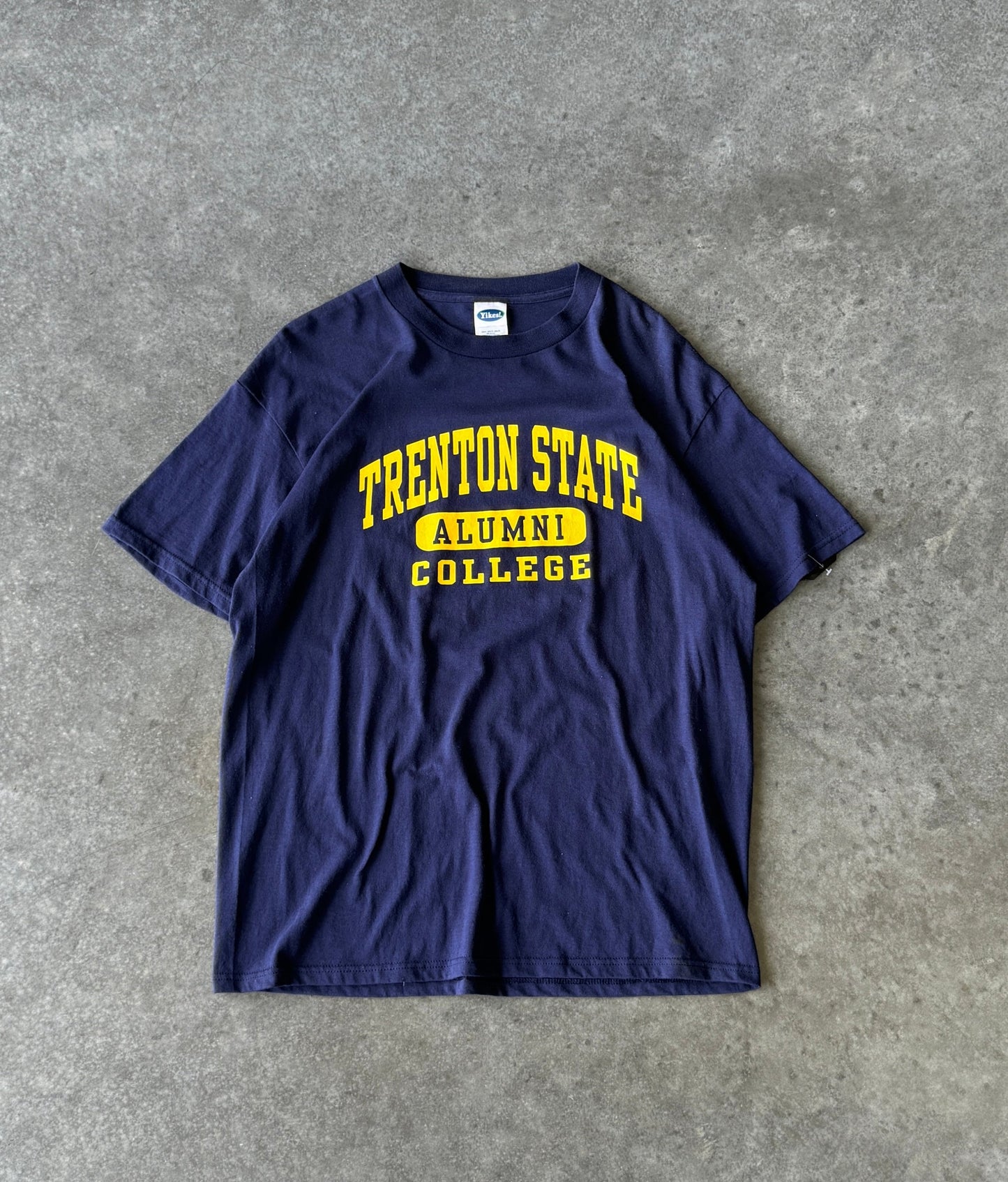 Vintage 00s Trenton State College Tee (XL)