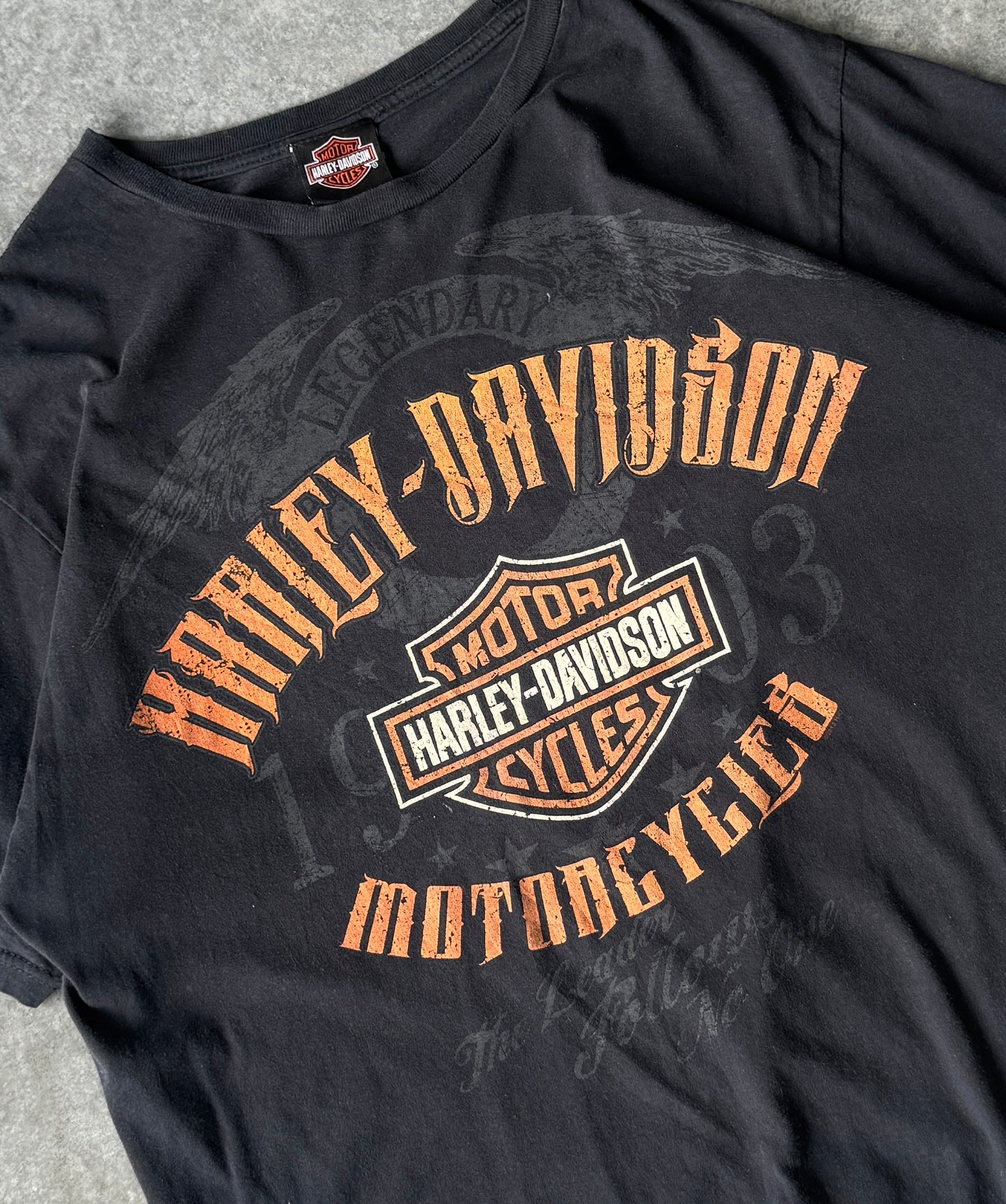 Vintage Y2K Harley Davidson Tee (L)