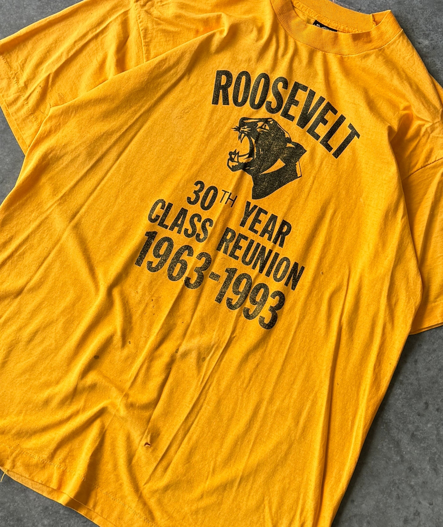 Vintage Thrashed 90s Roosevelt Reunion Tee (XL)