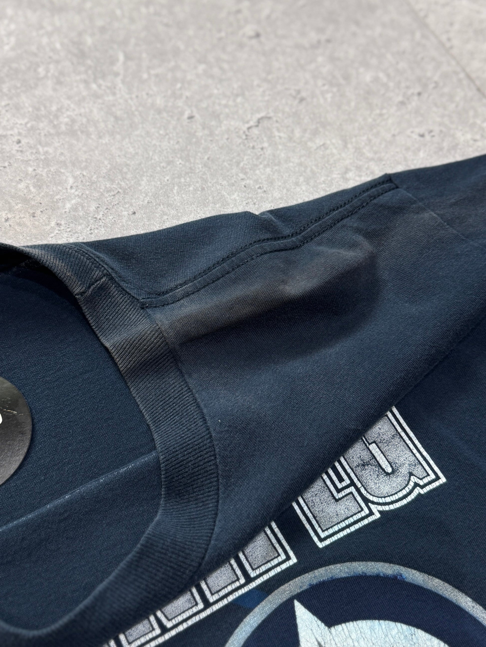 Vintage 2000s Winnipeg Jets NHL Tee (L)
