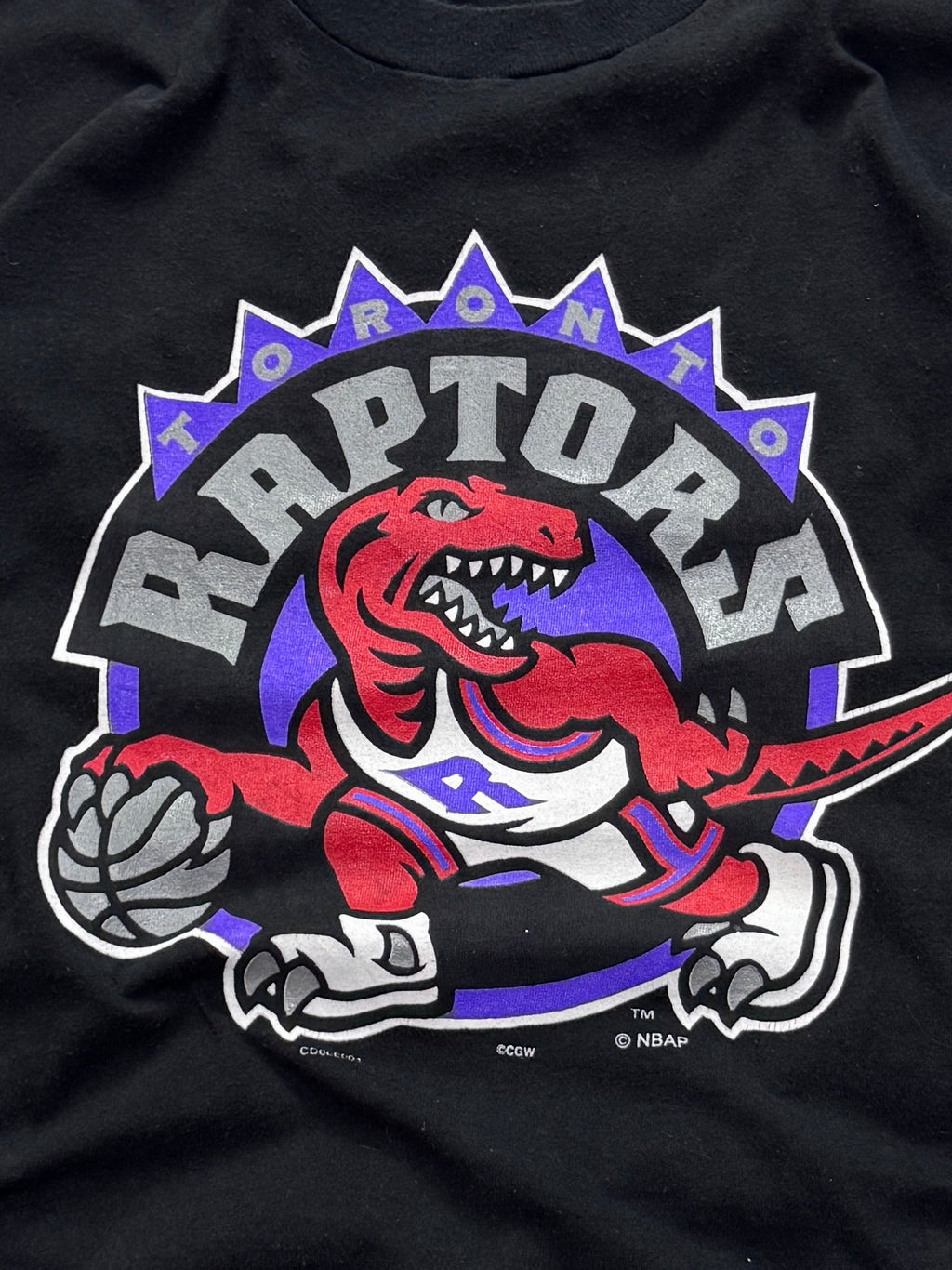 Vintage 90s Toronto Raptors NBA Tee (L)