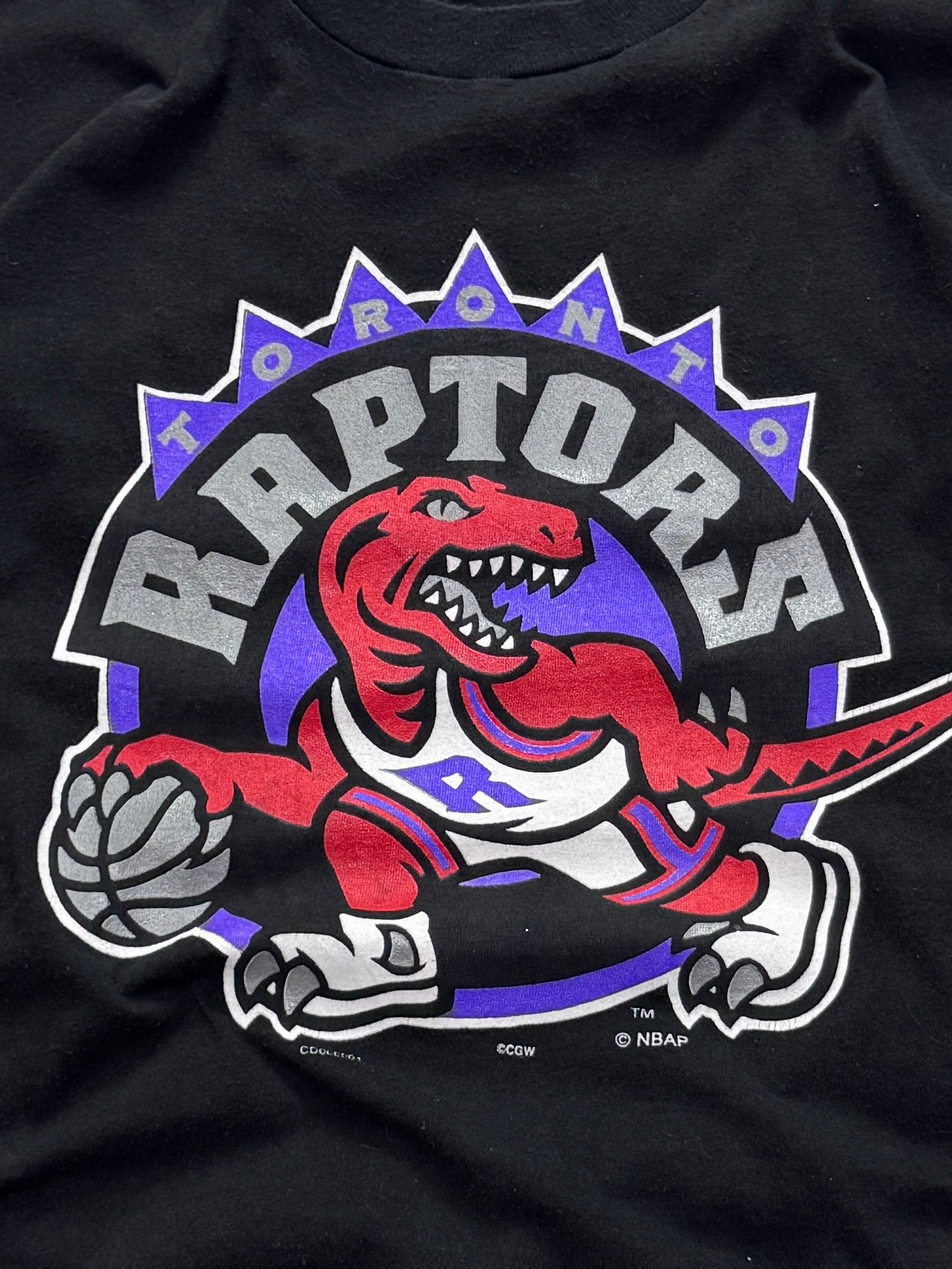 Vintage 90s Toronto Raptors NBA Tee (L)