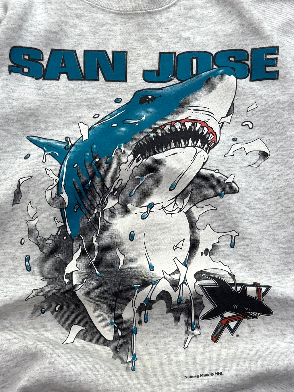 Vintage 90s Nutmeg X San Jose Sharks NHL Breakthrough Sweater (M)