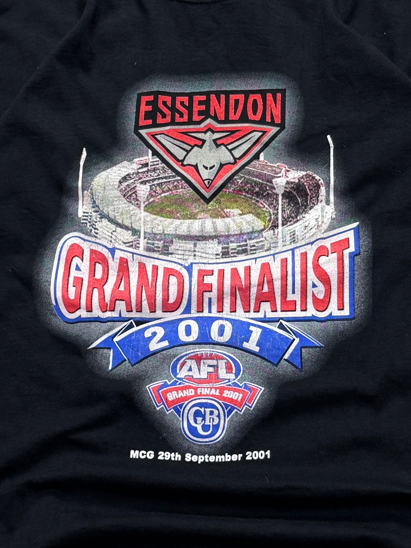 Vintage 2001 Essendon Bombers AFL Grand Final Tee (XL)