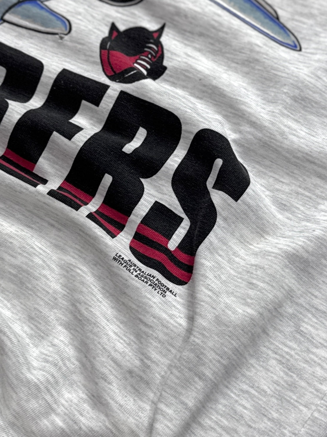 Vintage 90s Essendon Bombers AFL Graphic Tee (XL)