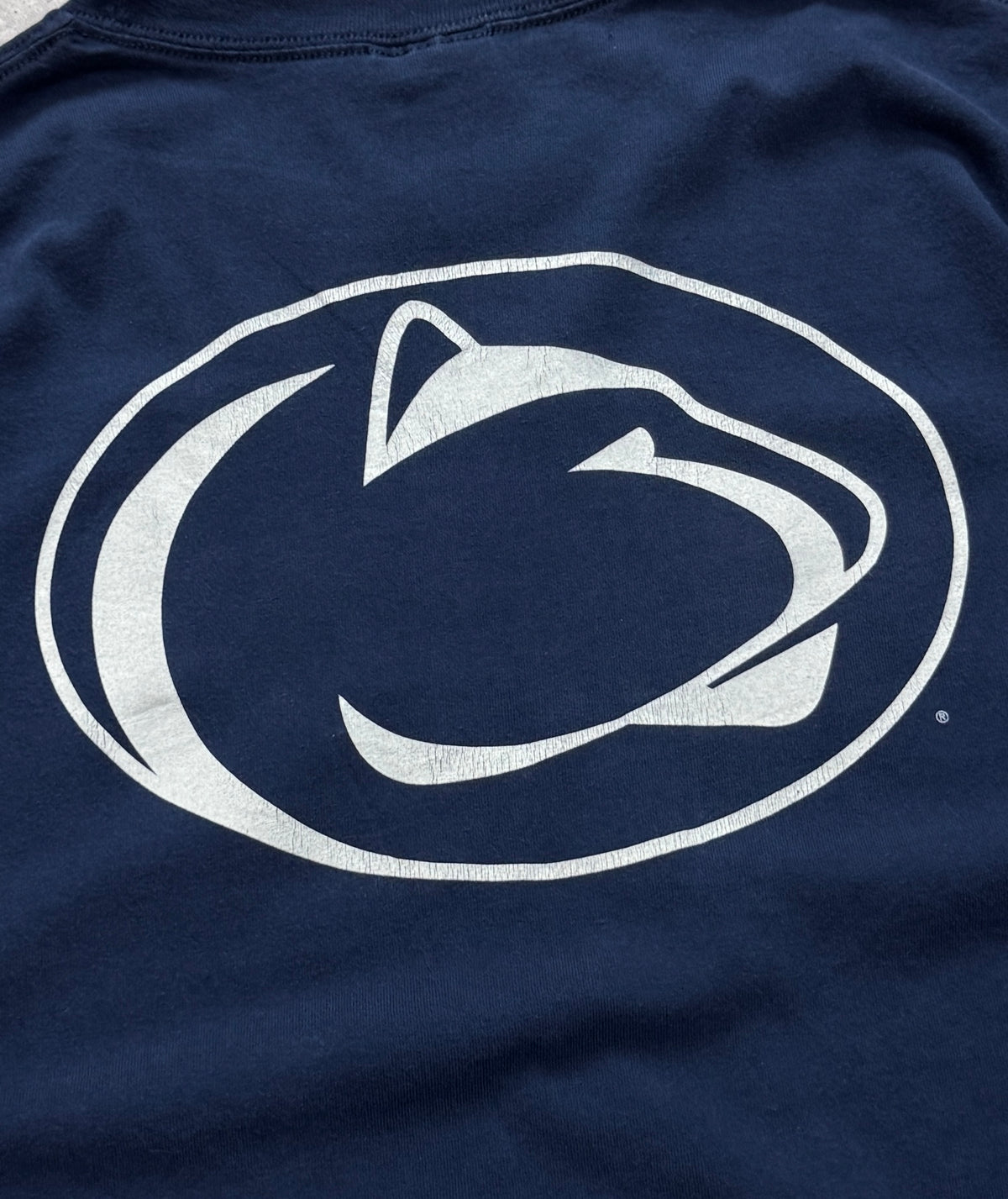 Vintage 2000s Nike X Penn State College Tee (XL)