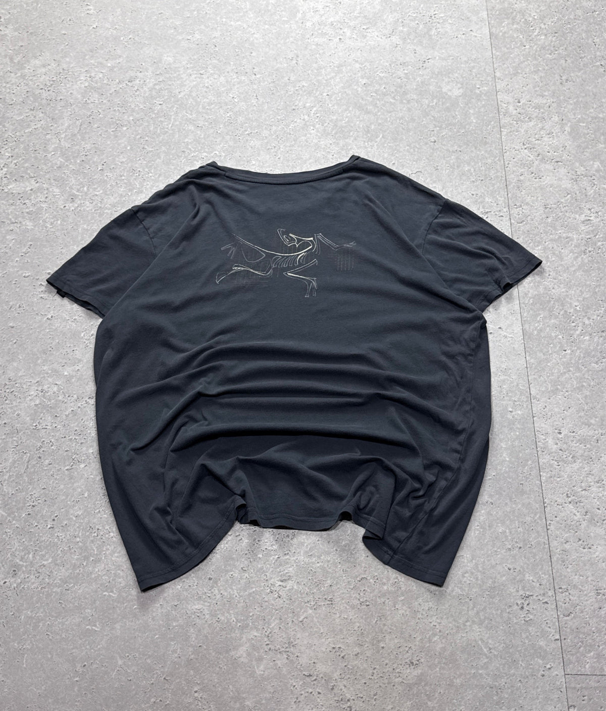 Vintage 2000s Arcteryx Training Tee (XL)