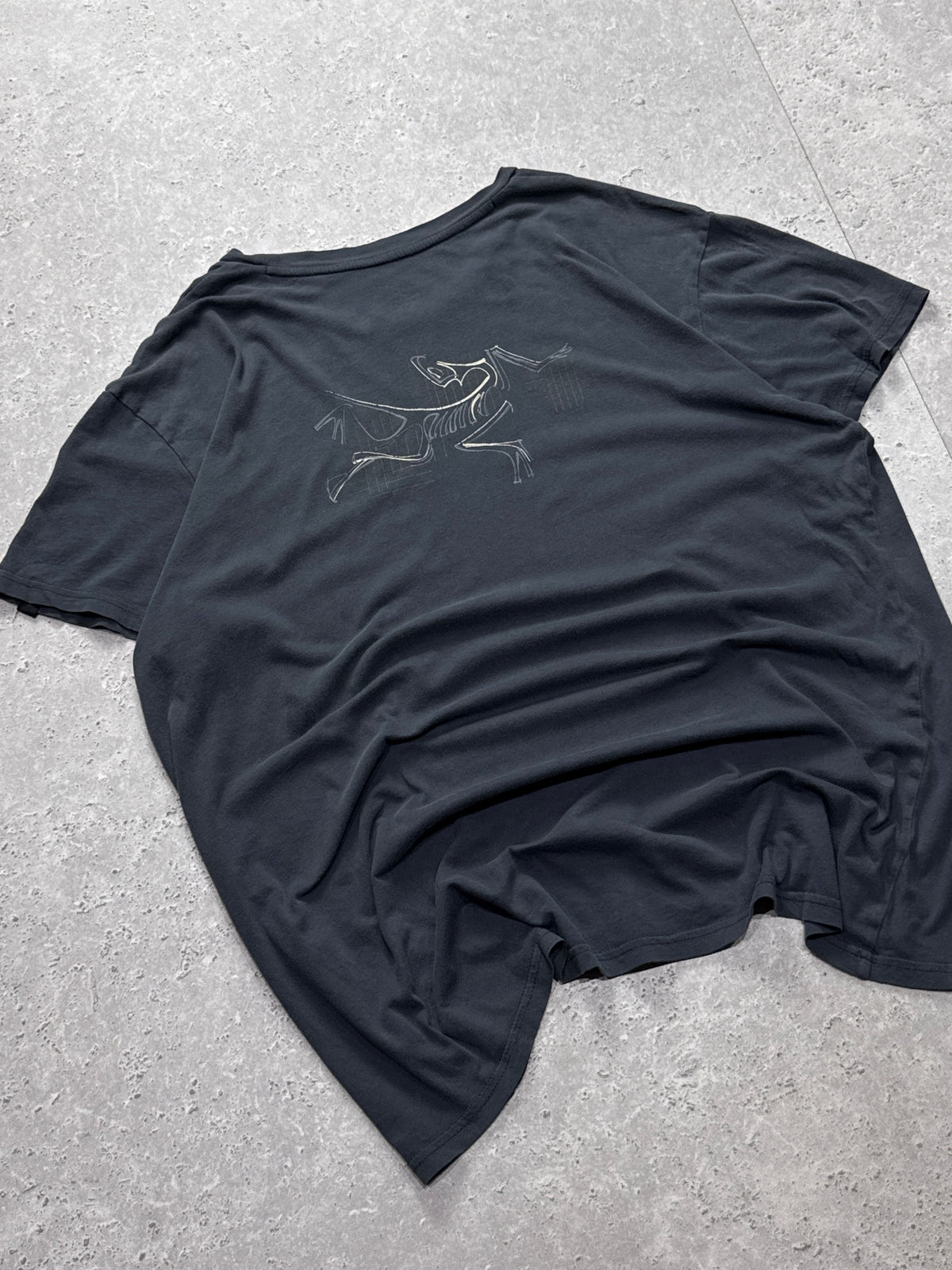 Vintage 2000s Arcteryx Training Tee (XL)