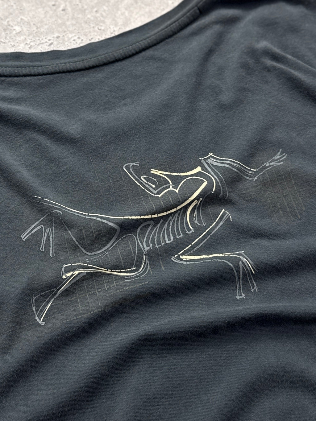 Vintage 2000s Arcteryx Training Tee (XL)