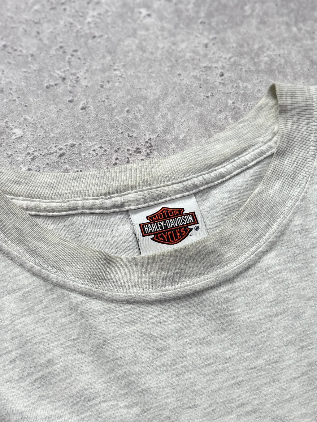Vintage 2000s Harley Davidson Tee (XL)