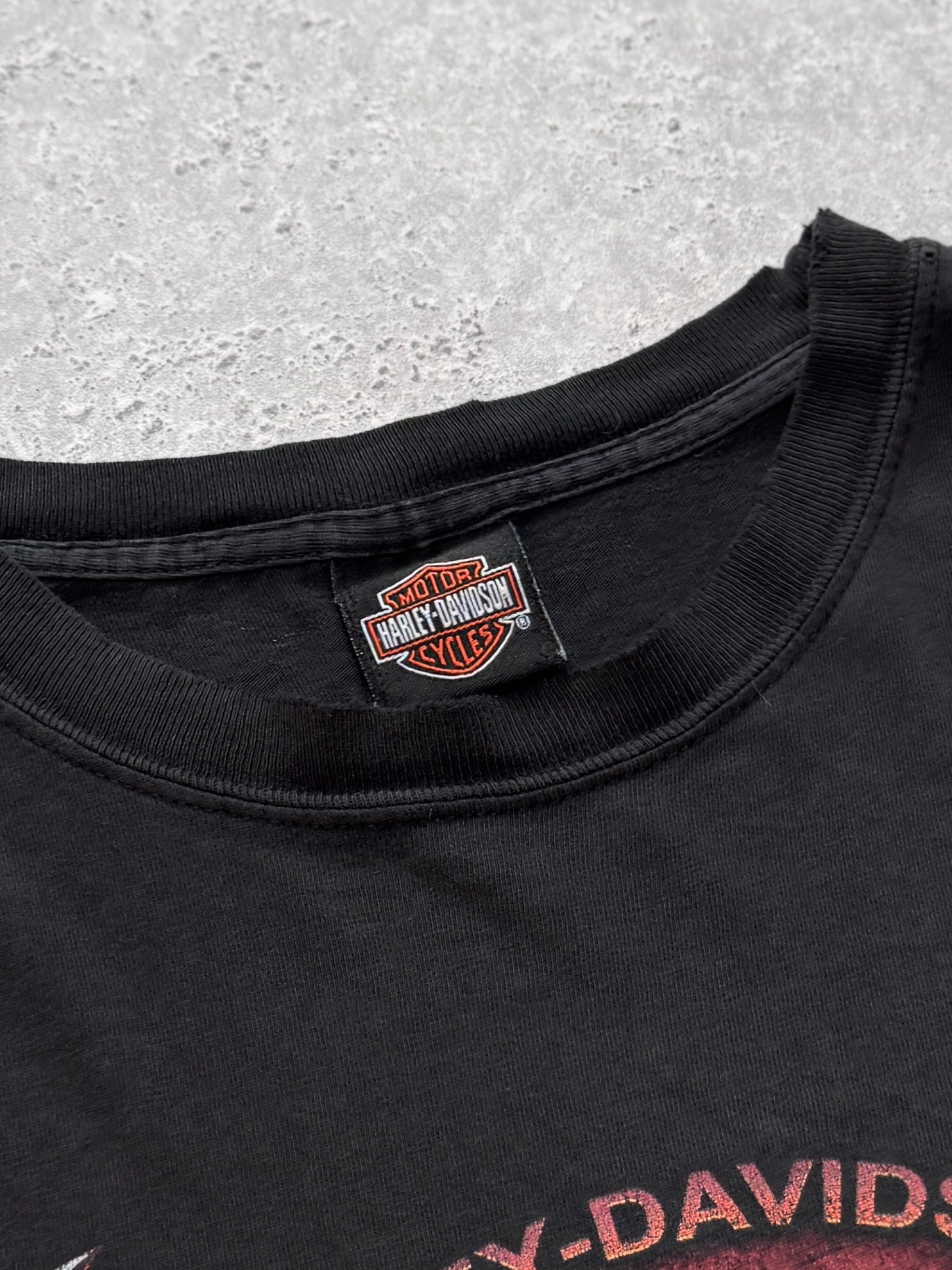 Vintage 2000s Harley Davidson Skull Graphic Tee (L)