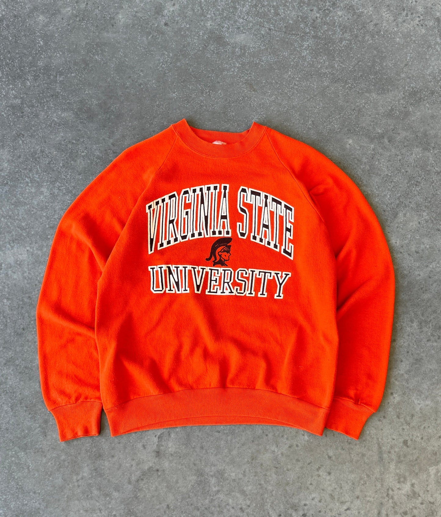 Vintage 90s Virginia State University Sweater (M)