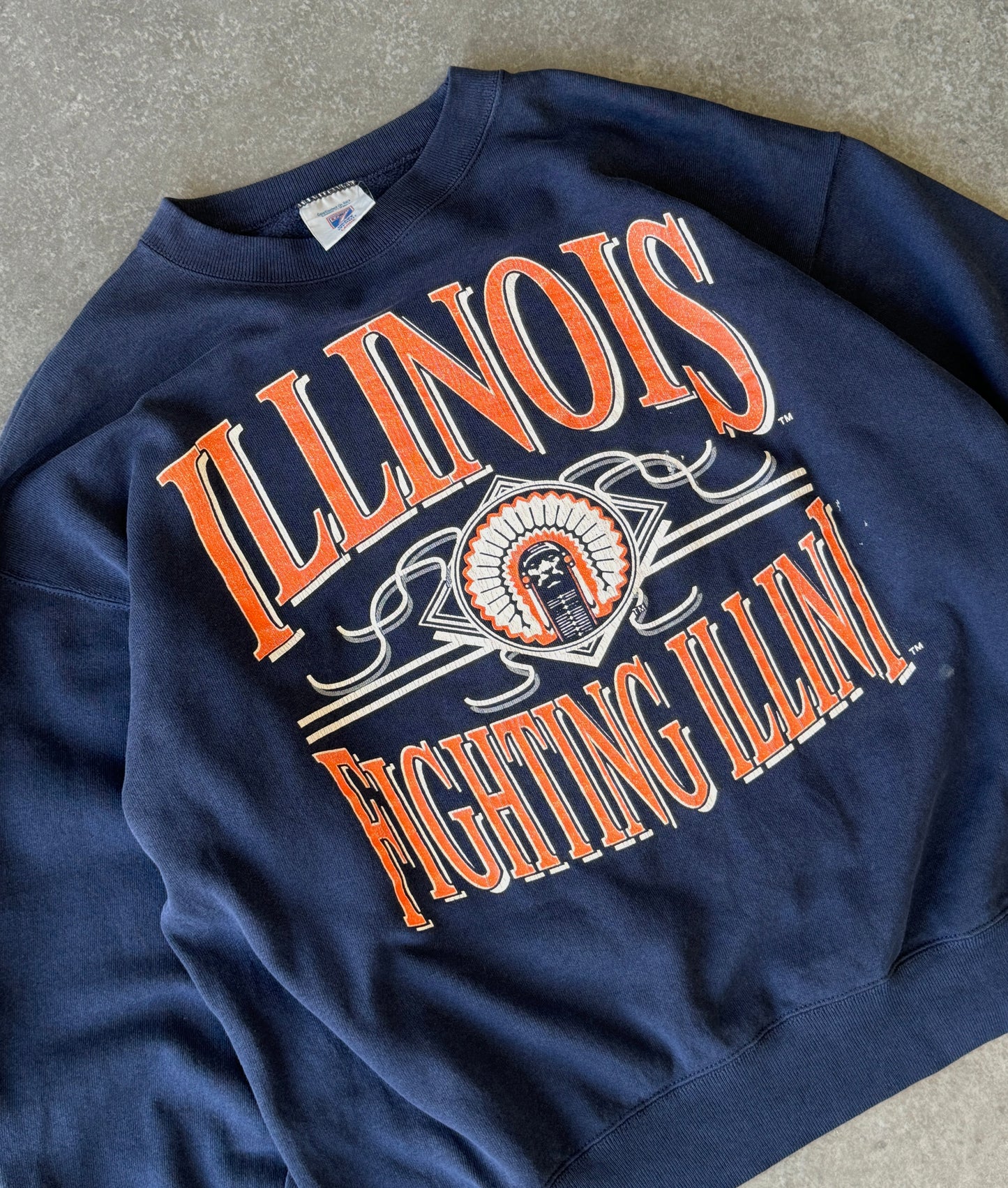 Vintage Illinois College Sweater (L)